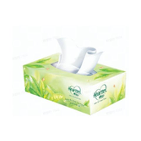Hearttex Green Tea Boxed Facial Tissue 120 Sheets